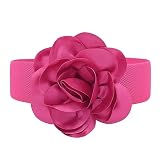 Cinturón de cintura elástico ancho de cintura de cintura de mujeres Rosa